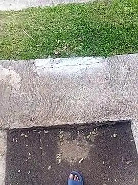 mr and miss night online show from March 27, 12:17 pm