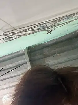 quochuy0123 online show from April 2, 8:33 am