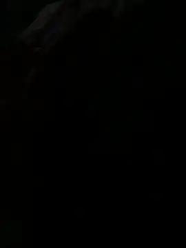 Smith2113pv online show from April 2, 10:23 am