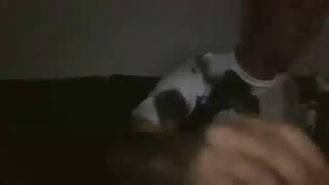 danko2979 online show from April 27, 10:04 pm