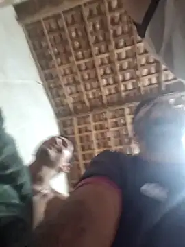 Jot4sp online show from April 21, 4:51 am