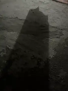 boyz toyz online show from April 18, 3:24 pm