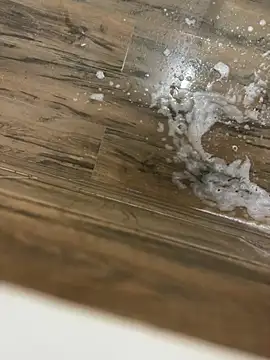 bfs130 online show from April 29, 10:27 pm