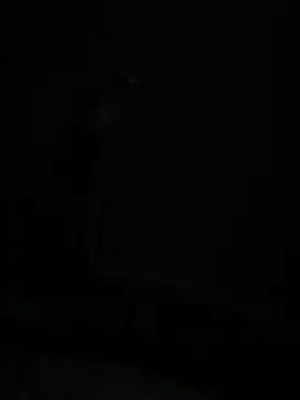 30money30s online show from May 10, 11:55 am
