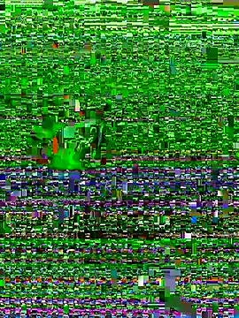 Kais7555 online show from June 2, 2:40 pm