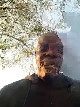 Rod Gorilla online show from July 6, 2:14 pm