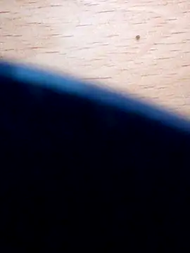 domjoab online show from March 5, 9:28 pm