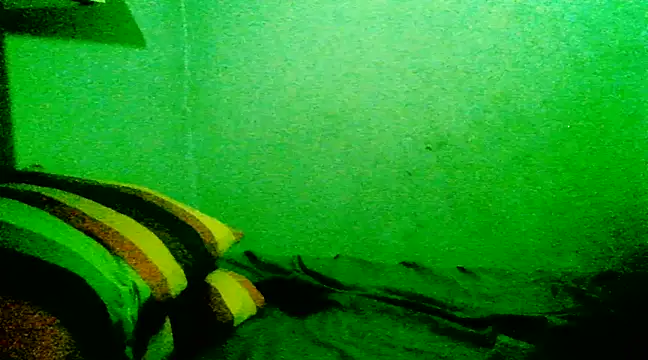 Eze mole online show from February 23, 7:03 pm