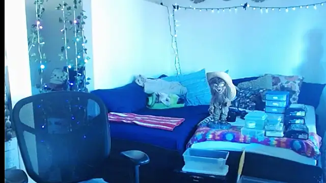 Snapshot of mycock2474u chatting on February 25, 3:38 pm mycock2474u online show from February 25, 3:38 pm