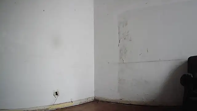 seoulsatxh online show from February 8, 5:50 pm