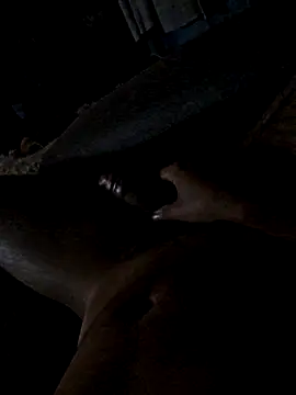 jorgenew online show from November 20, 9:08 am