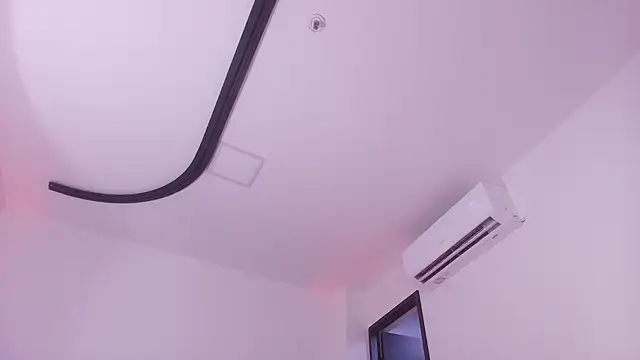 mister miike online show from February 3, 6:22 am