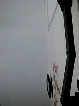 Bibcock2025 online show from December 17, 5:36 am