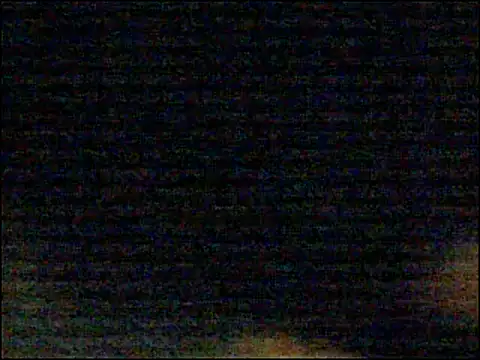 Snapshot of Mghty-cockl88 chatting on December 26, 6:22 pm Mghty-cockl88 online show from December 26, 6:22 pm