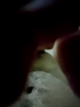 mc8k35MGadbuhPr online show from November 11, 12:21 pm