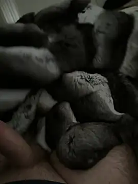 Furdale online show from January 14, 2:44 pm