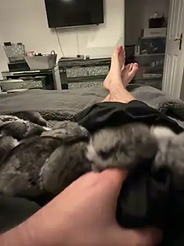 Furdale online show from November 11, 5:51 pm