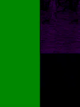 Pitercom online show from November 9, 4:27 am