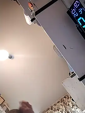 Baumhackel online show from April 19, 8:14 am