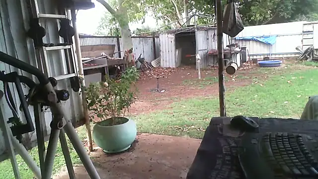 herbie010666 online show from November 27, 4:27 am