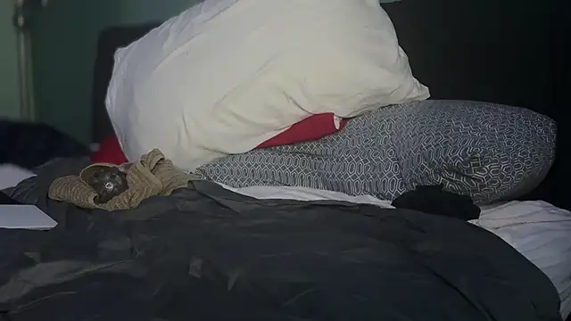 -ChupaBear- online show from September 24, 5:44 pm