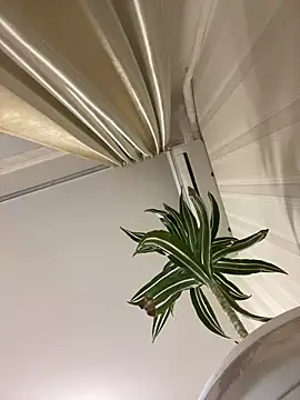 GHsveter online show from April 14, 10:15 am