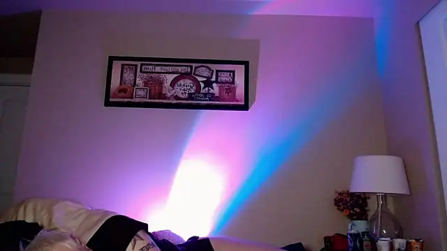 Snarfle82 online show from November 29, 2:08 pm