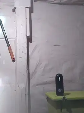 Wero4200 online show from October 7, 10:19 am