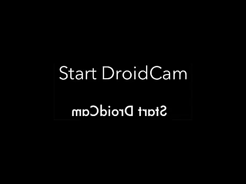 feathersify online show from November 24, 7:20 am