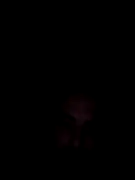 mustican422 online show from October 16, 2:30 am