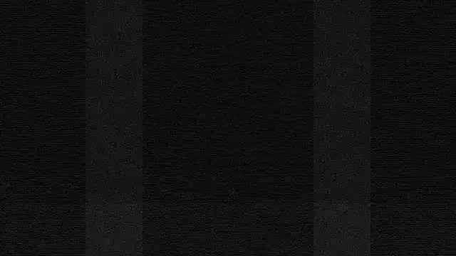 terrybare online show from October 16, 2:03 pm