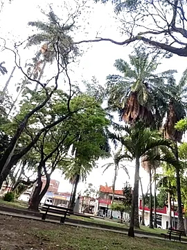 xTommy Steigerx online show from September 23, 12:15 pm