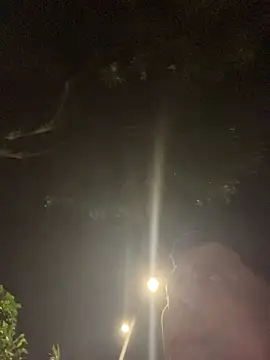 xTommy Steigerx online show from October 2, 2:59 am