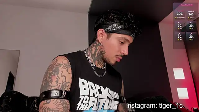 TigerStripes1  online show from December 11, 11:54 pm