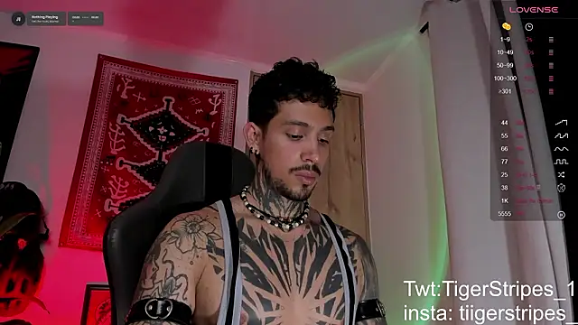 TigerStripes1  online show from March 9, 4:28 am