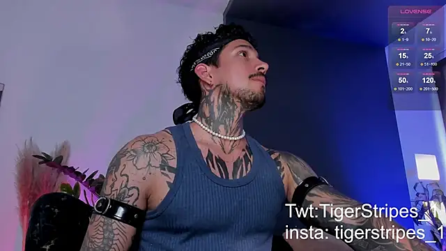 TigerStripes1  online show from March 19, 8:54 pm