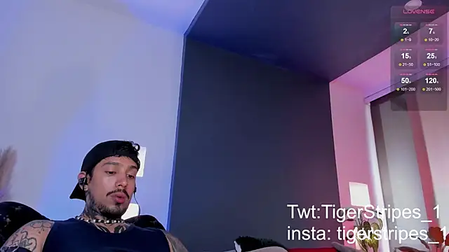 TigerStripes1  online show from March 15, 9:49 pm