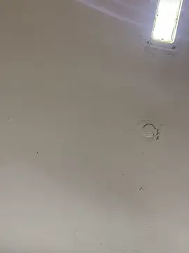 Diosn111 online show from December 18, 1:07 pm